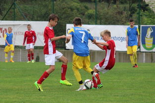 米兰体育登录-塞尔维亚客场战胜克期待队，出线形势严峻